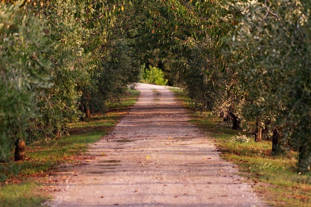 Agriturismo Casagrande Montepulciano Ngoại thất bức ảnh